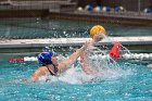 WWPolo vs CC  Wheaton College Women’s Water Polo vs Connecticut College. - Photo By: KEITH NORDSTROM : Wheaton, water polo